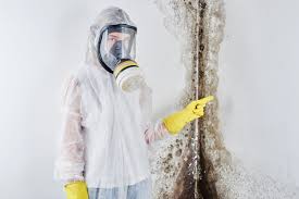 Trusted West Valley City, UT Mold Removal Services Experts